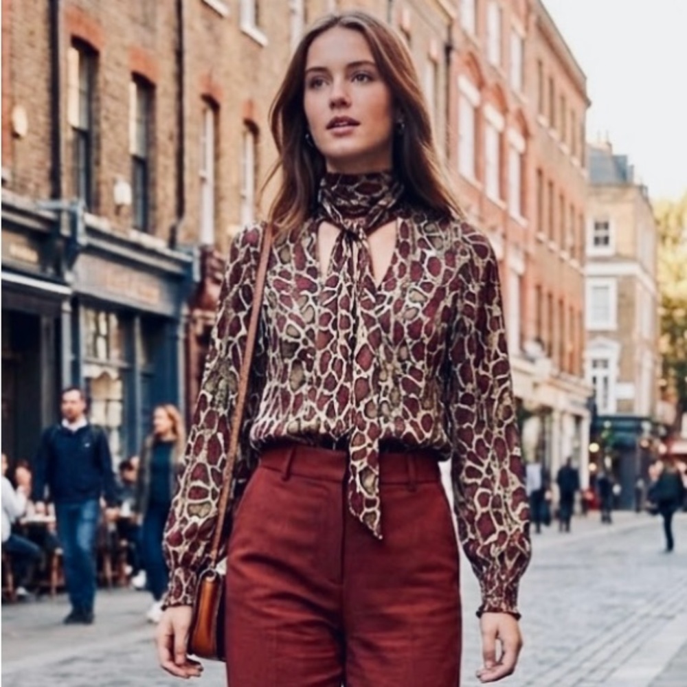 Zara Leopard Print Blouse